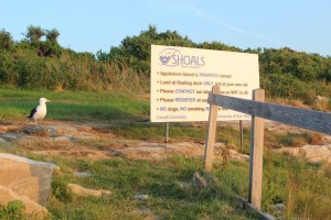 Photo by Alexandra Kirby