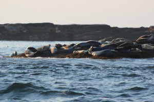 Photo by Alexandra Kirby