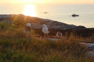 Photo by Alexandra Kirby