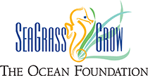 SeaGrass Grow