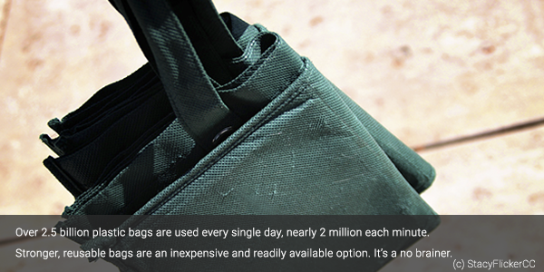 #5 bag.png