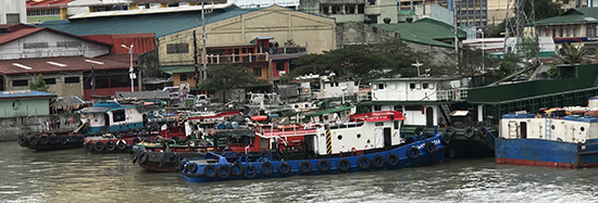 IMG_6816.jpg