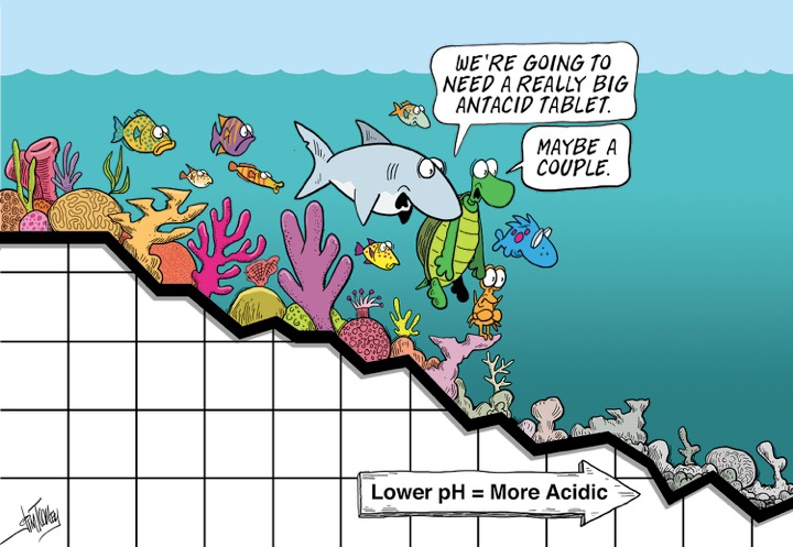 download pollution causes effects and control