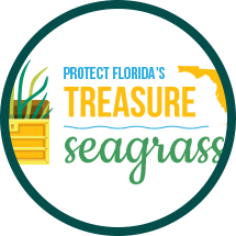floridas-treasure.png