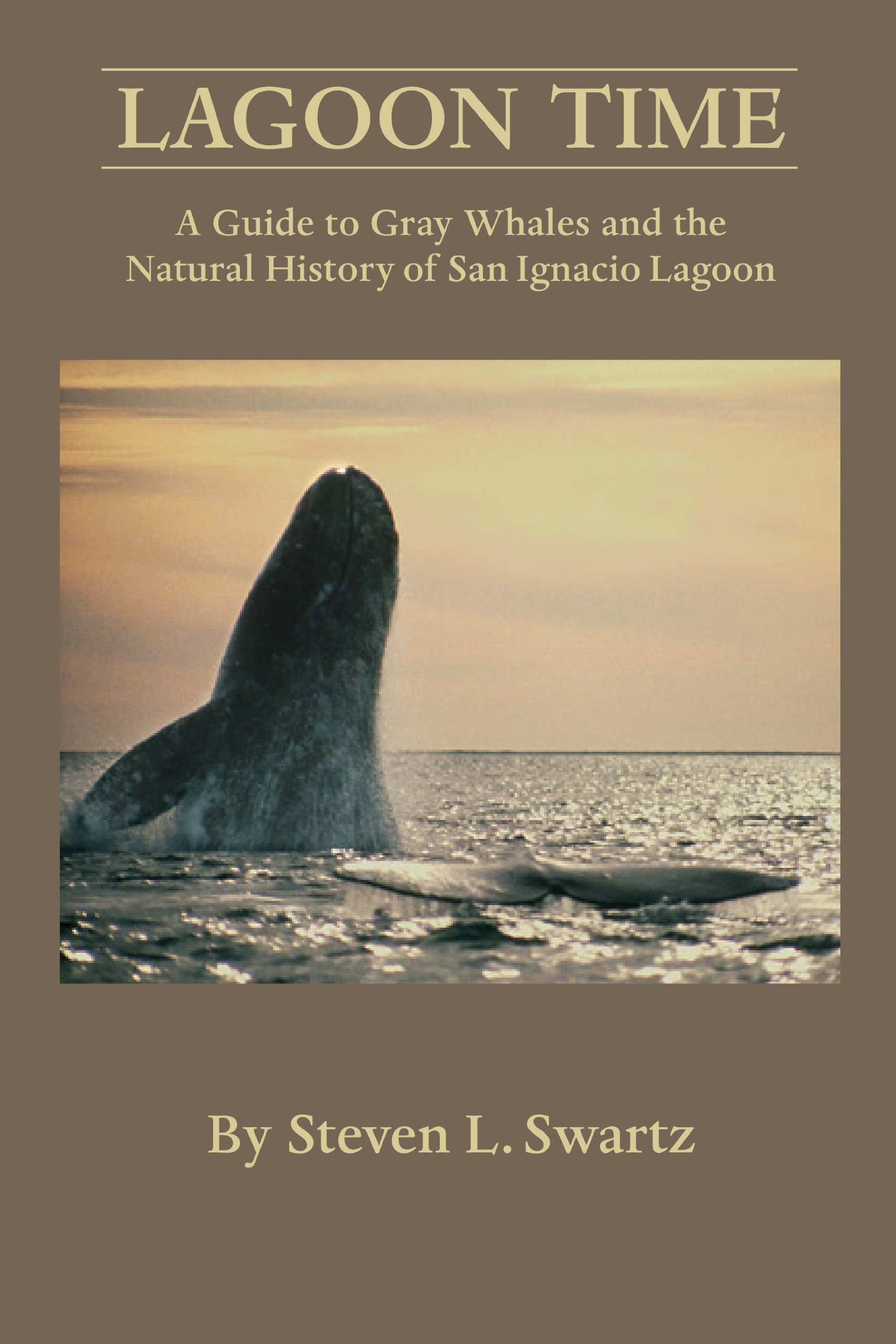 Lagoon Time Our Life And Times Among The Gray Whales Of