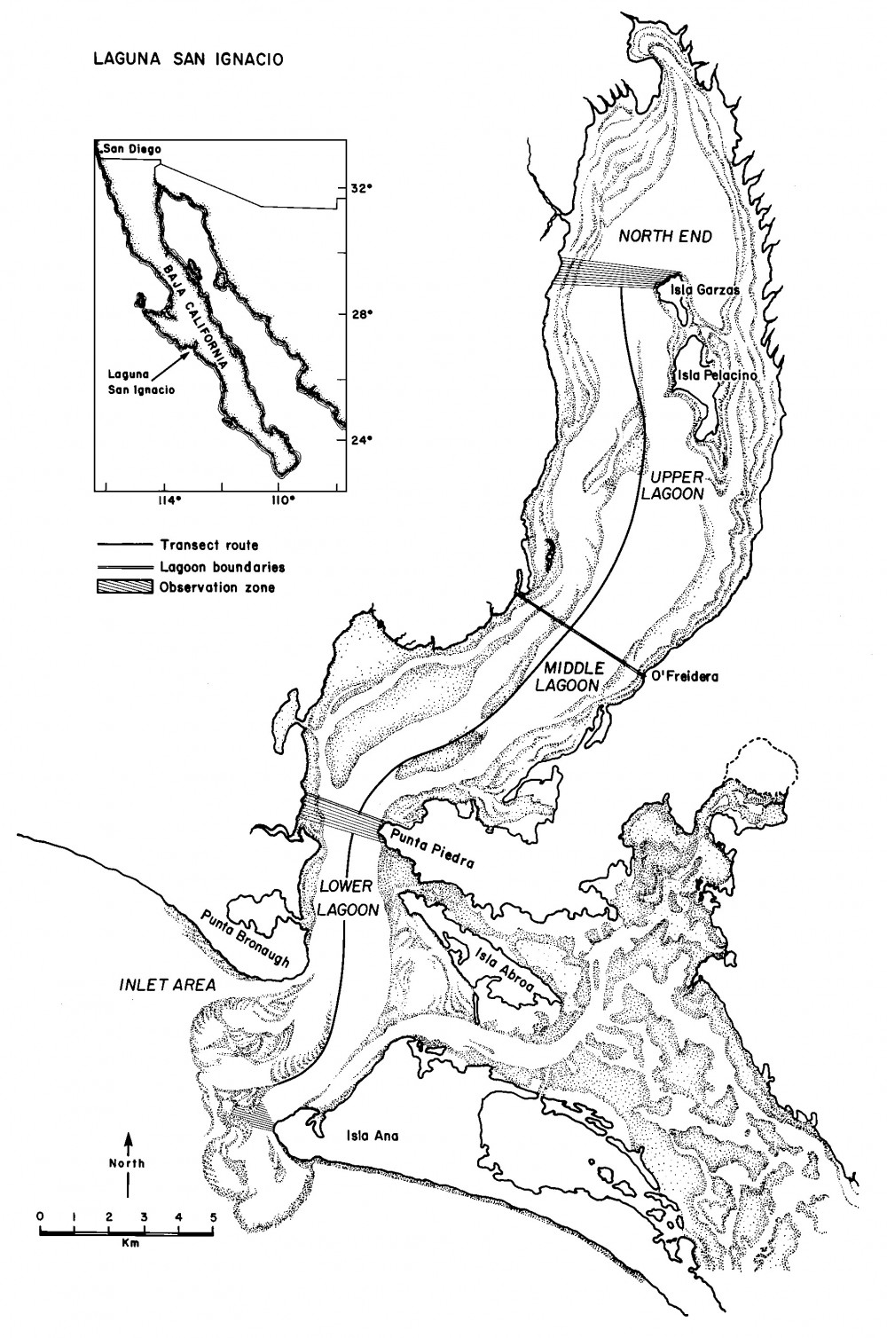 map-laguna-san-ignacio.jpg